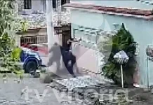 Vídeo flagra guardas municipais agredirem suspeito e cachorro em Cariacica